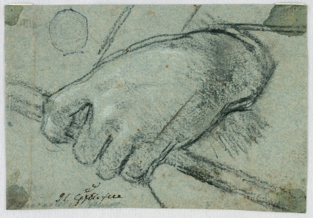Studie: Een Linkerhand die een Stok Draagt door Unknown artist