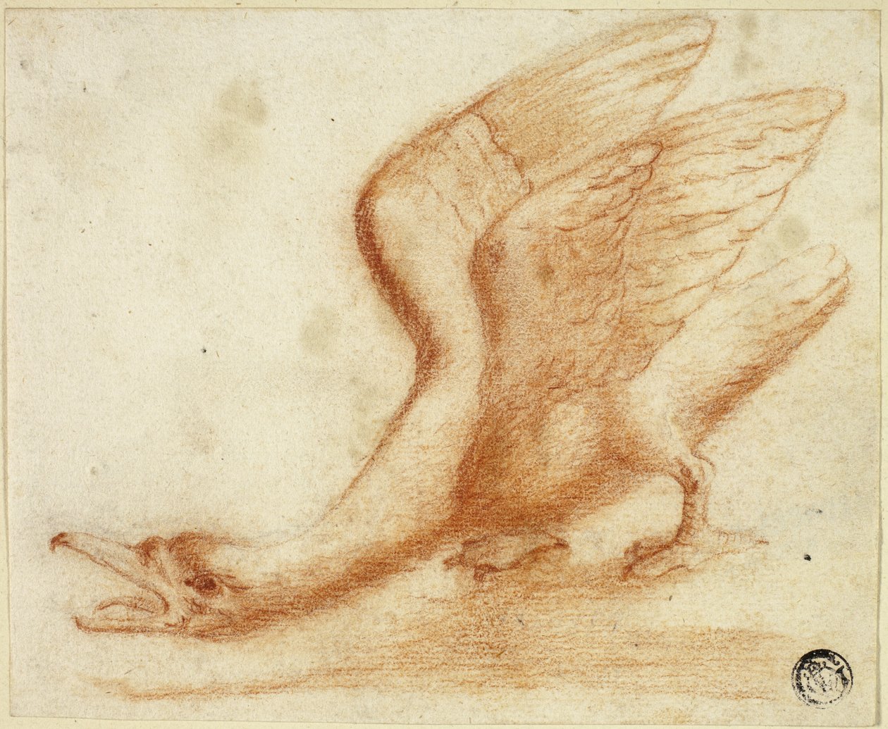 Zwaan door Unknown artist