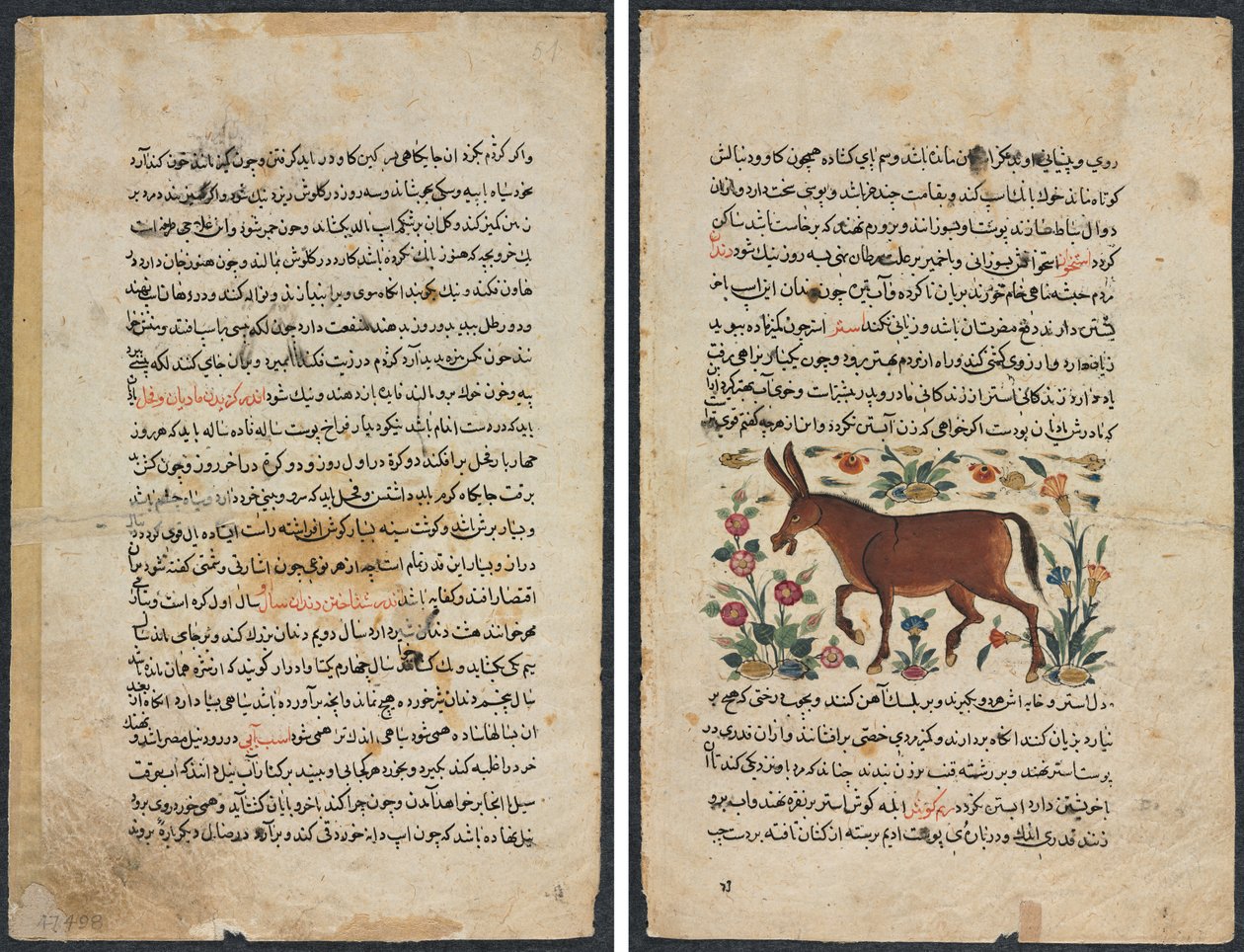 Tekstpagina, Perzisch Proza (Recto); Khar (Ezel) (Verso) door Unknown artist