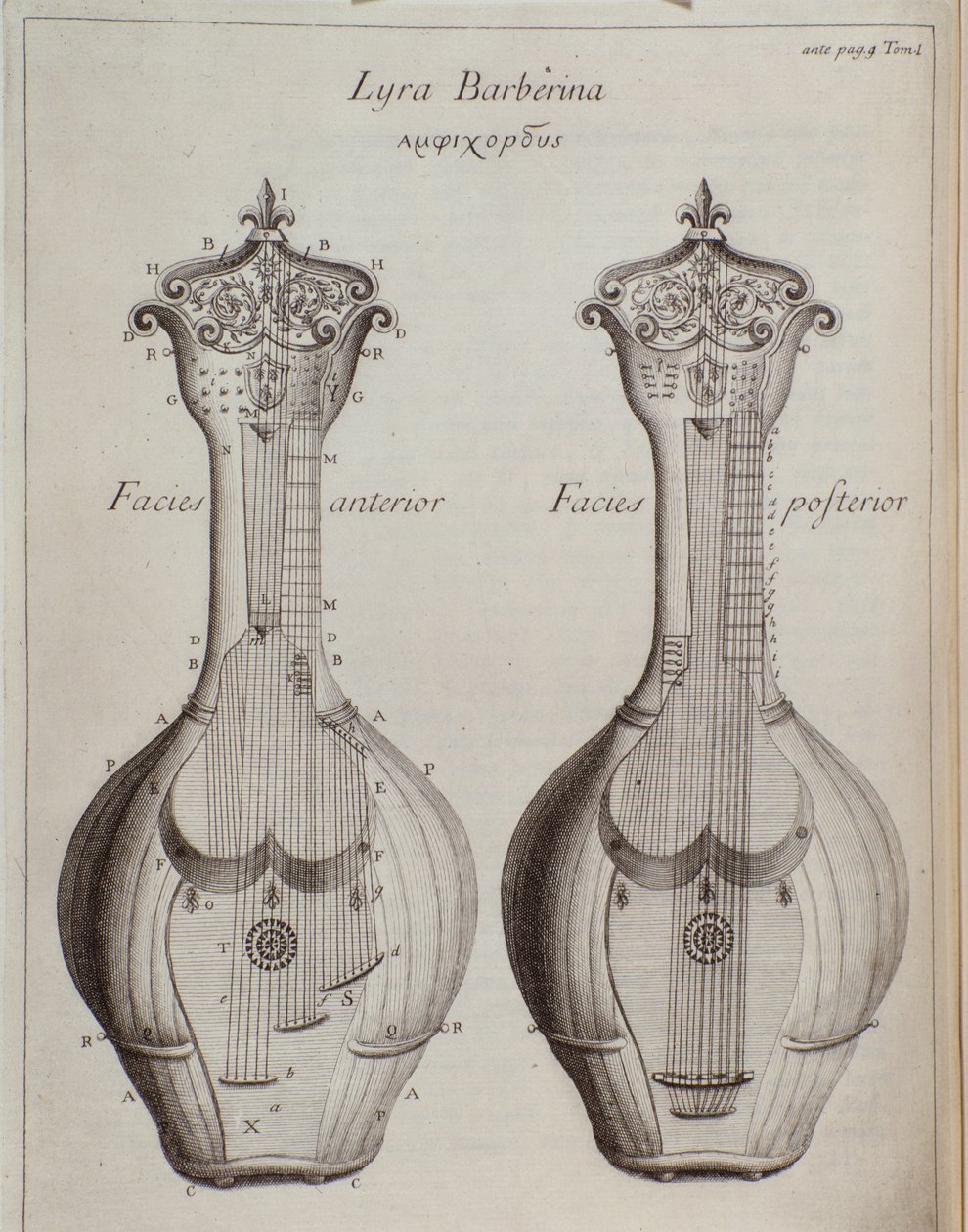 De Lyra Barberina (gravure) door Unknown artist