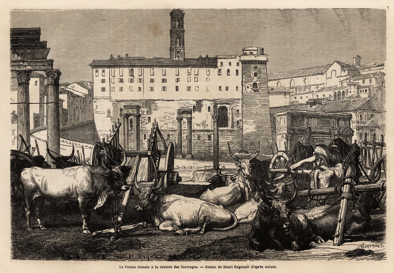 Het Romeinse forum heeft de huur van voer, de ossen liggen midden in karren en oude ruïnes. Gravure ter illustratie van de reis naar Rome, door Francis Wey, in 1864-1868, gepubliceerd in 