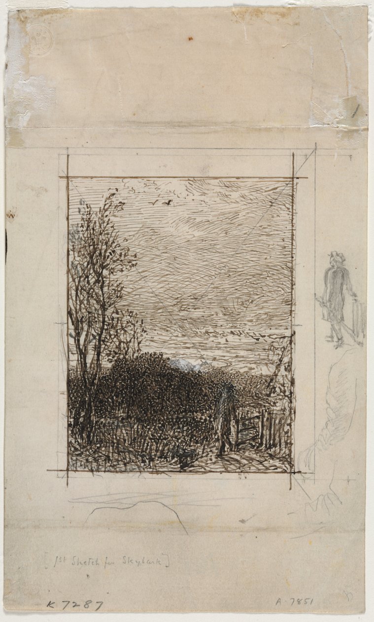 De leeuwerik door Unknown artist