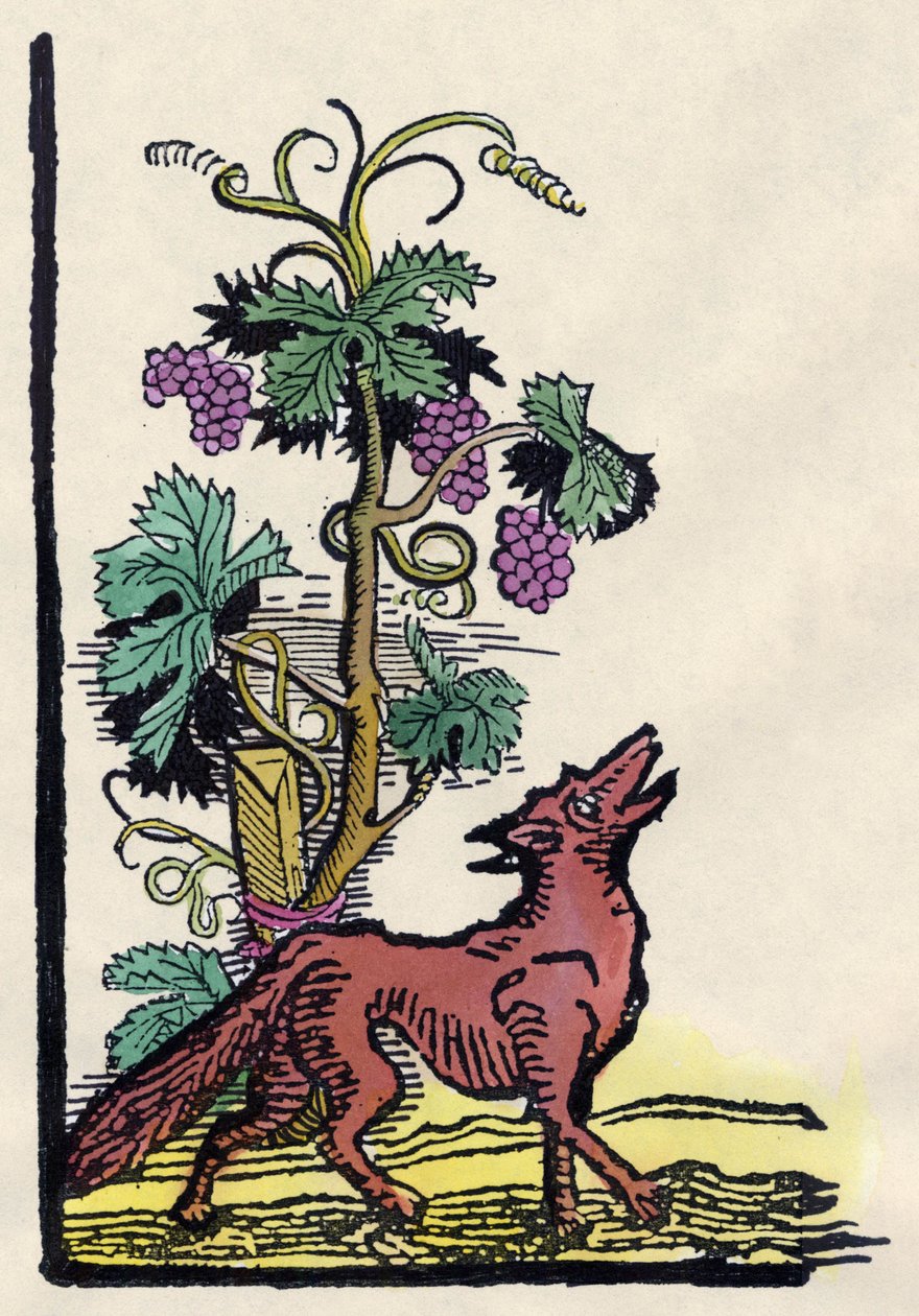 De vos en de druiven. Fabel van Aesopus (18e-eeuwse gravure) door Unknown artist