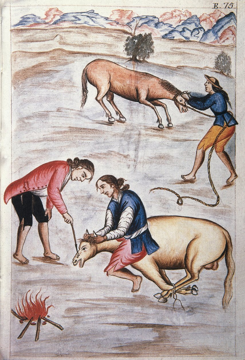 Het rode ijzermerk van een merrie, uit het boek "Trujillo del Peru" of "Códice Martínez Compañón", door Baltazar Martinez Compañón y Bujanda, bisschop van Trujillo (1782-1785) door Unknown artist
