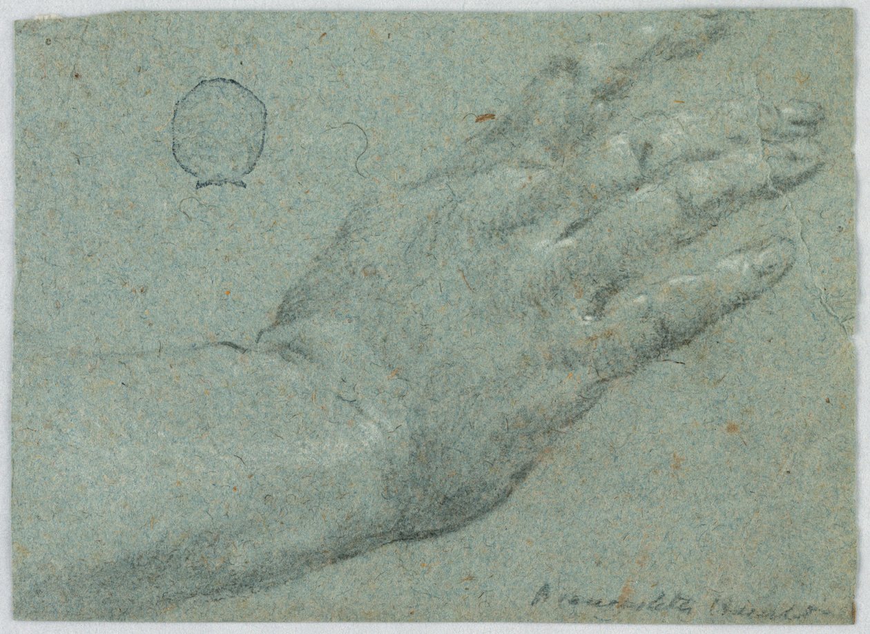 De rechterhand van een man door Unknown artist