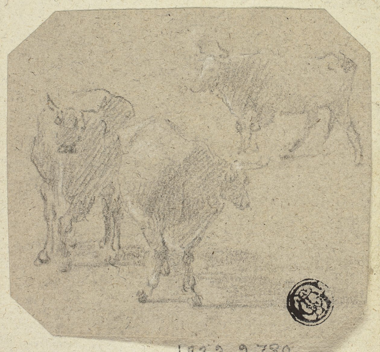 Drie koeien door Unknown artist