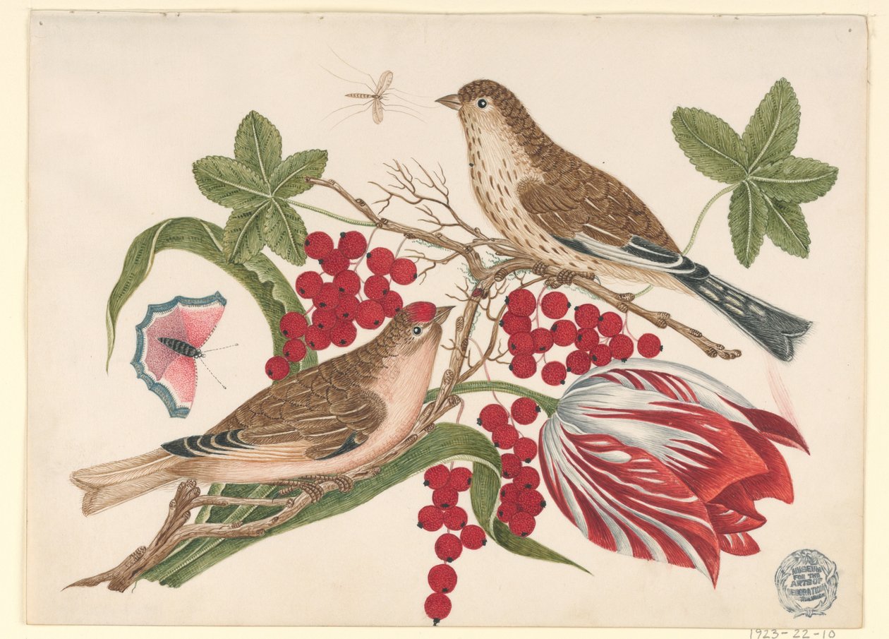 Twee bruine vogels op tak met tulp, bessen en insecten door Unknown artist