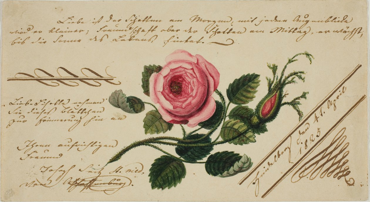 Ongenoemde Valentijn (Roze Bloem) door Unknown artist