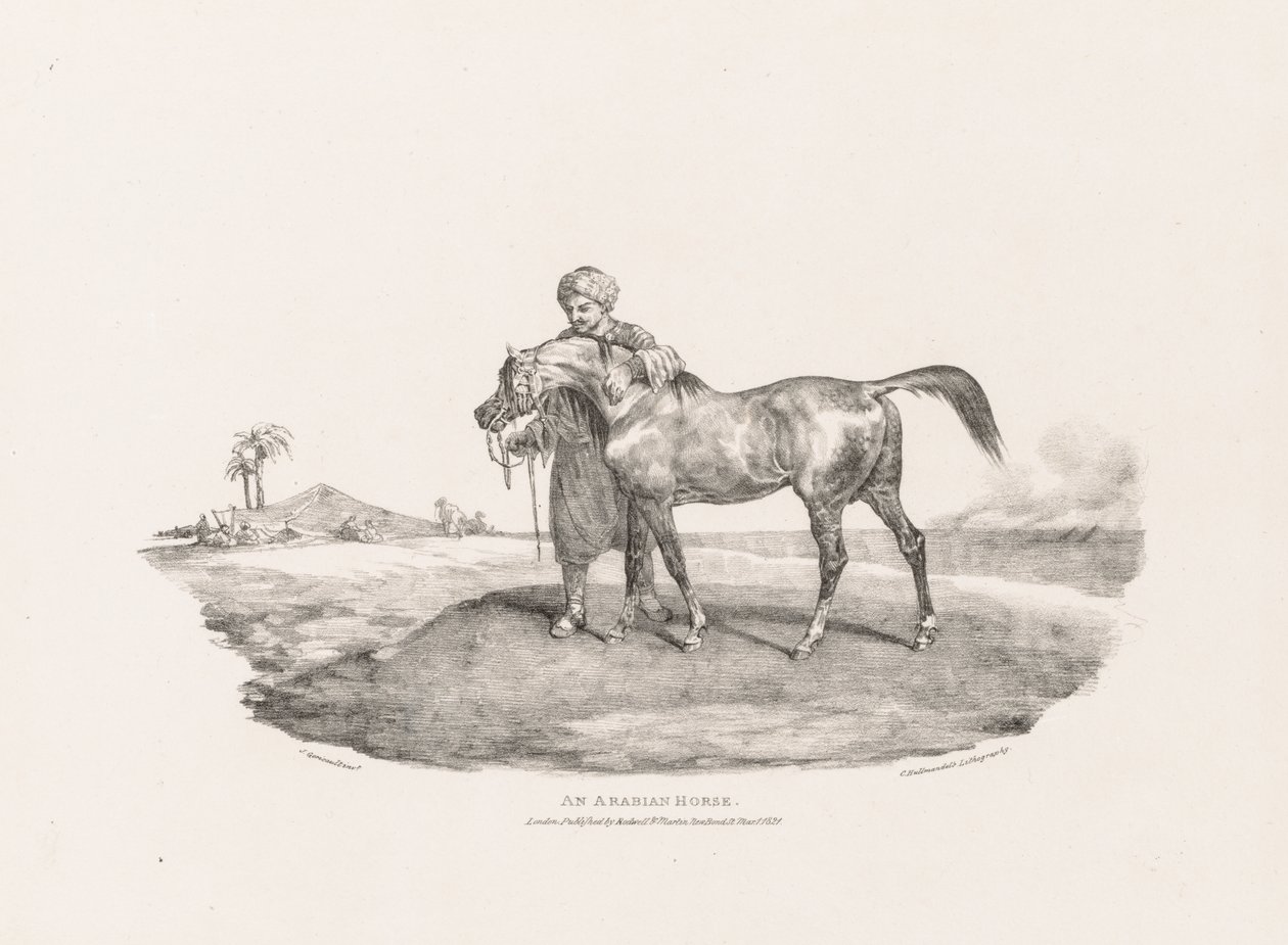 Verschillende Onderwerpen Getekend uit het Leven en op Steen: Een Arabisch Paard door Unknown artist