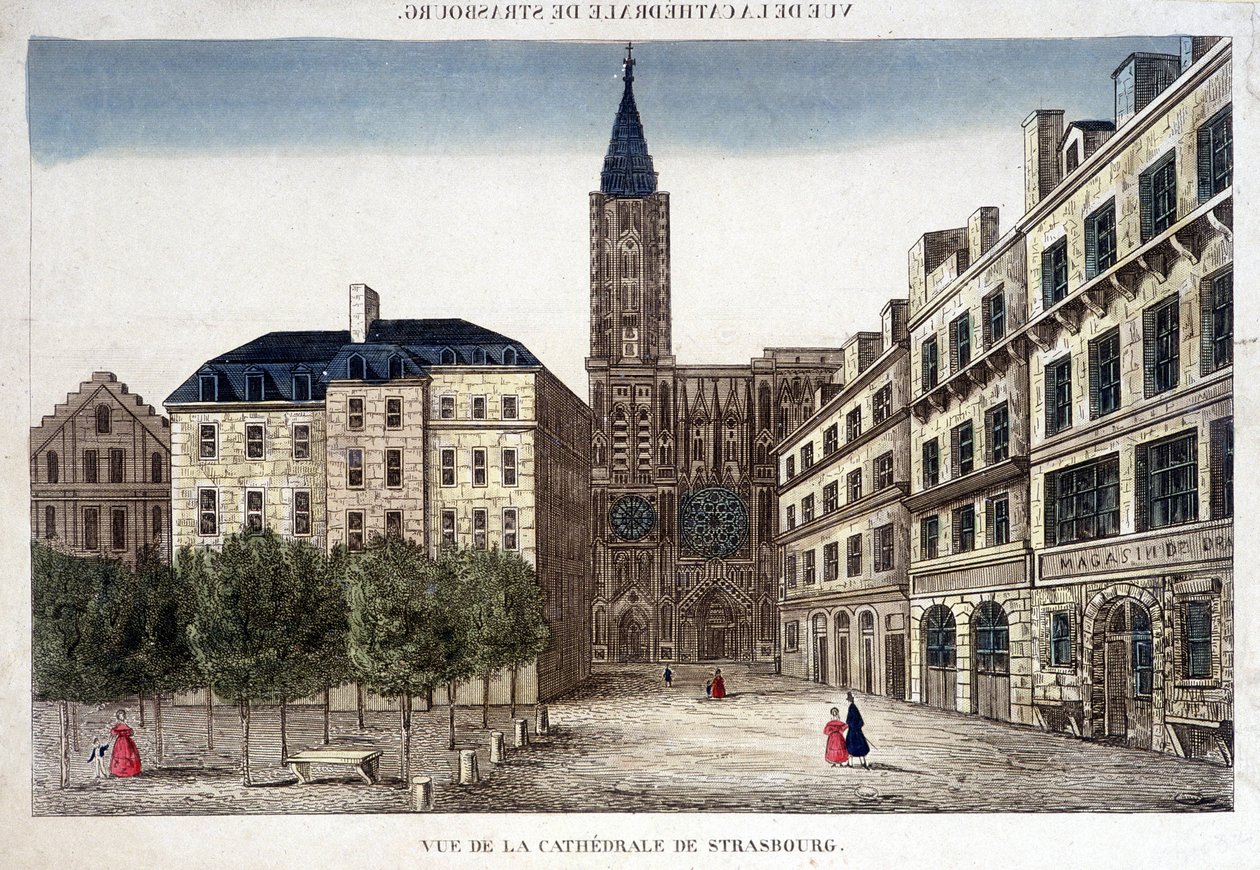 Zicht op de kathedraal van Straatsburg in de 18e eeuw. door Unknown artist