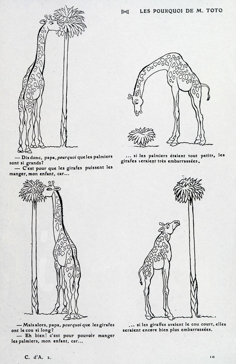 Waarom van meneer Toto: Waarom de palmboom zo groot is en waarom de giraffe zo