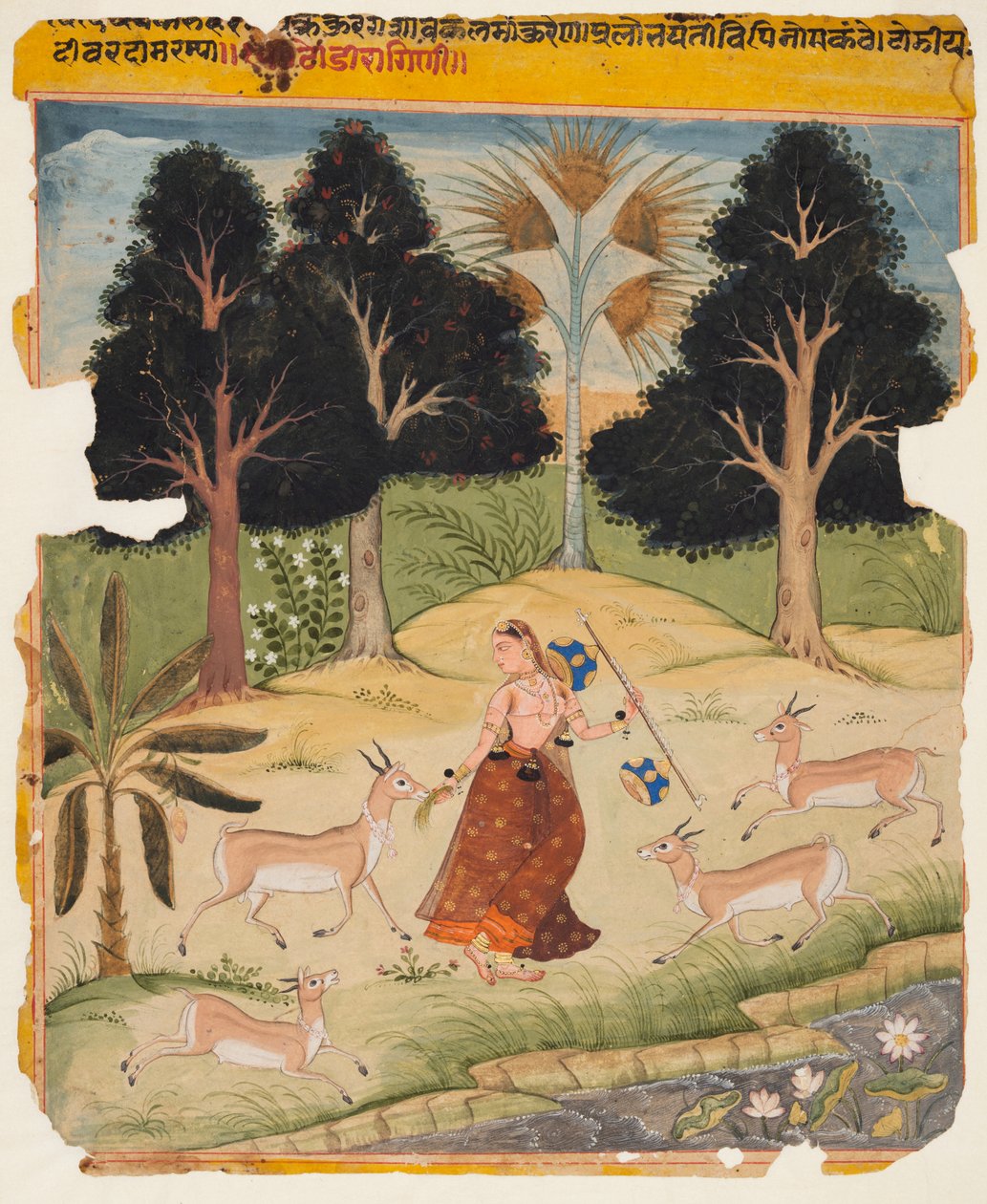 Vrouw die herten voedt: Todi Ragini, uit een Ragamala door Unknown artist