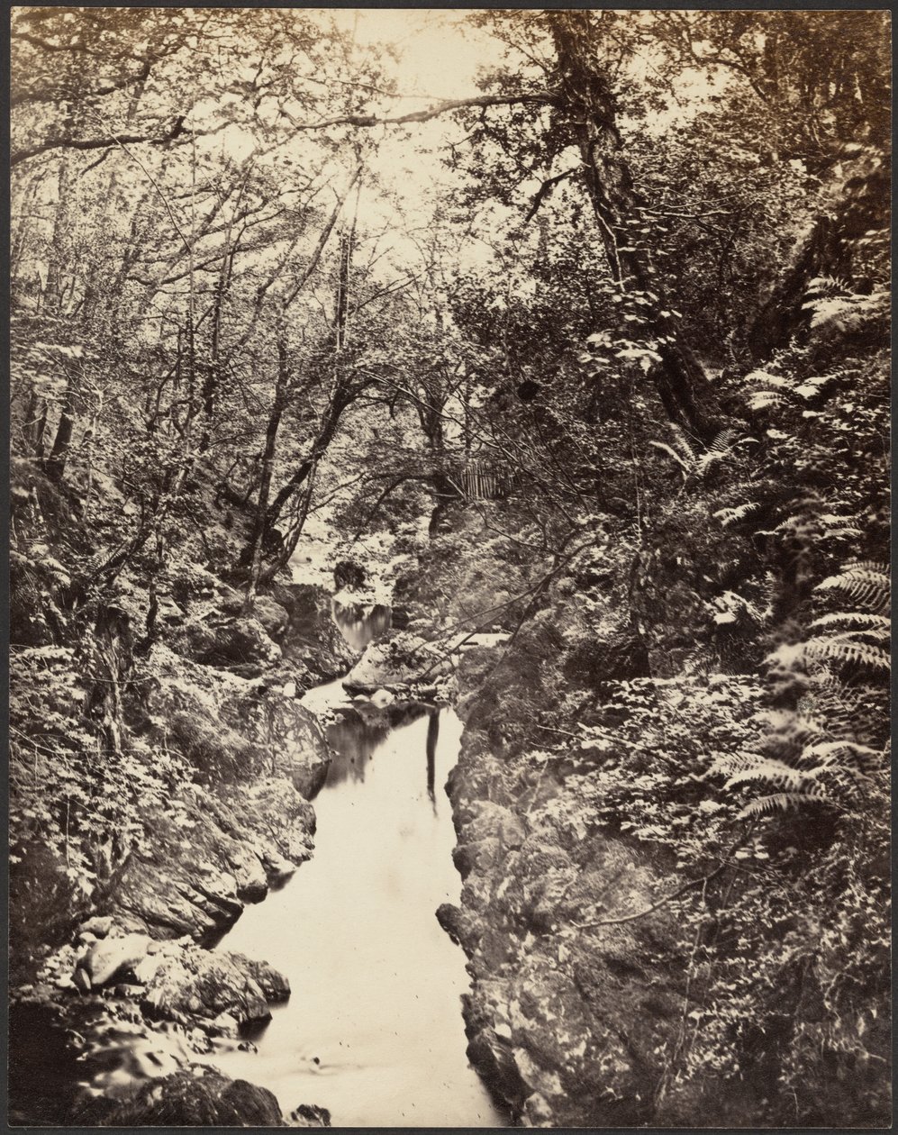 [Bebost landschap met beek]. door Unknown artist