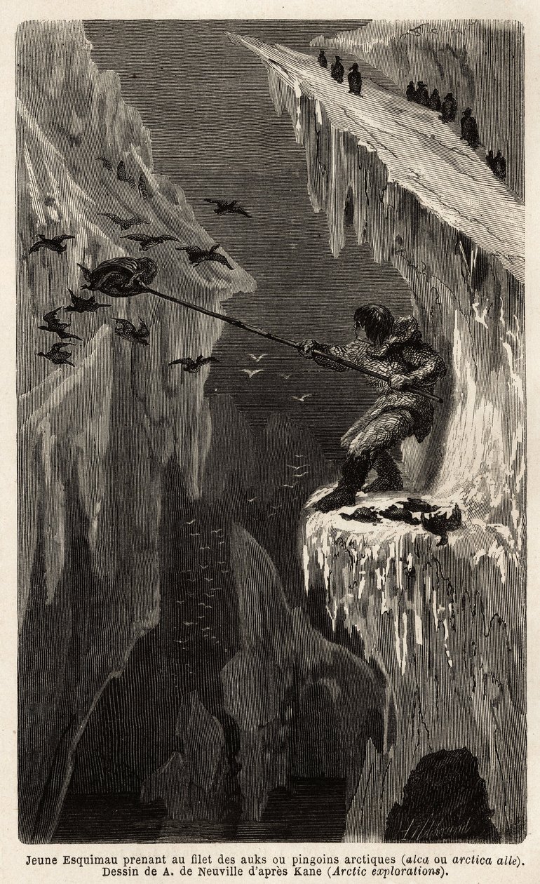 Jonge eskimo vangt Arctische pinguïns. Gravure ter illustratie van de reis naar de vrije zee van de Noordpool, door dokter Hayes, chirurg van de Amerikaanse marine, in 1860-1862, gepubliceerd in 
