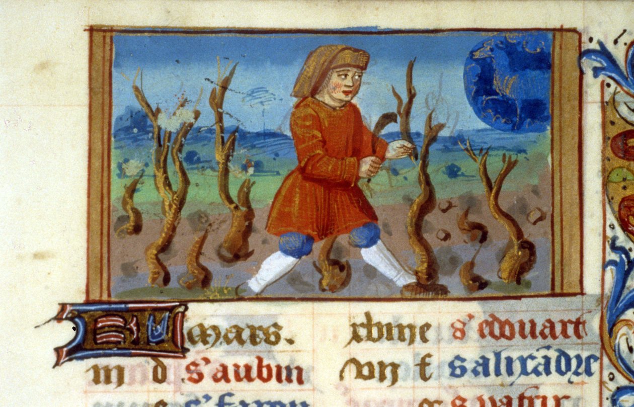 Zodiac Ram en boommaat - Miniatuur uit de Middeleeuwen (ref. 137, 047r) - Vraag toestemming aan de Gemeentelijke Bibliotheek van Toulouse (tel: 05 62 27 66 66) door Unknown artist