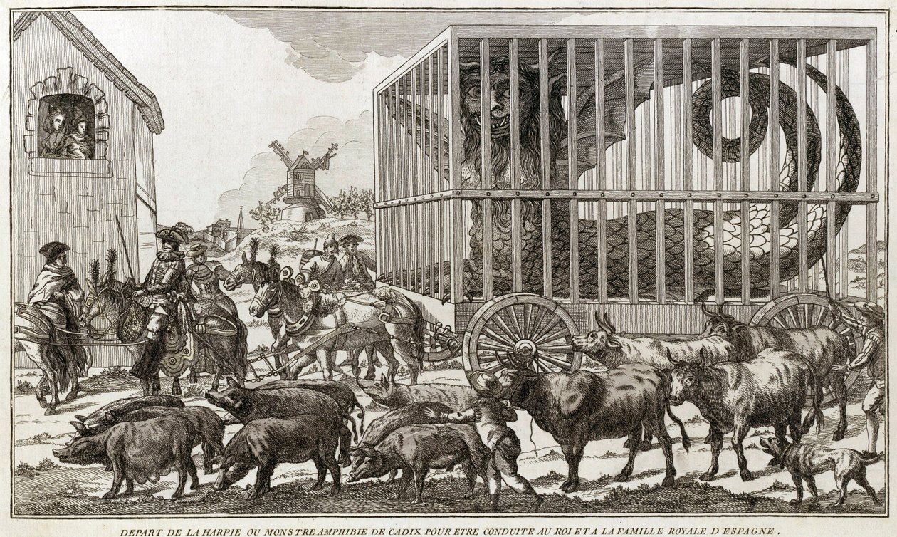 Zoomorfisme - Karikatuur tegen Marie-Antoinette - Vertrokken van de harpij of amfibisch monster van Cadiz om naar de koning en de koninklijke familie van Spanje te worden gebracht: Dit dier werd gevangen aan de oevers van het meer van Fagua - 1784 door Unknown artist