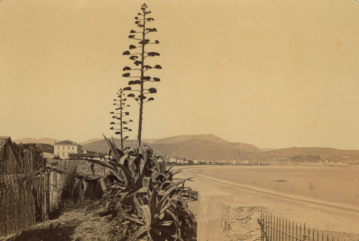 Album "Nice et les environs": uitzicht op de kust van Nice door Unknown photographer
