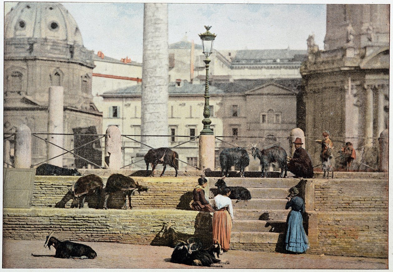 Oud Rome: uitzicht op het Forum Romanum. Italië, eind 19e eeuw door Unknown photographer
