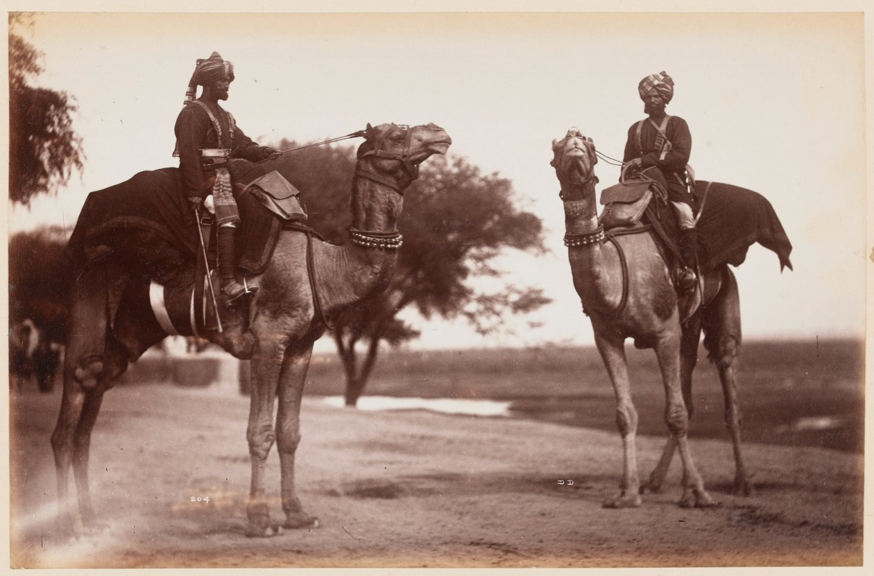 Kameel Sowars bij het Delhi oefenkamp door Unknown photographer