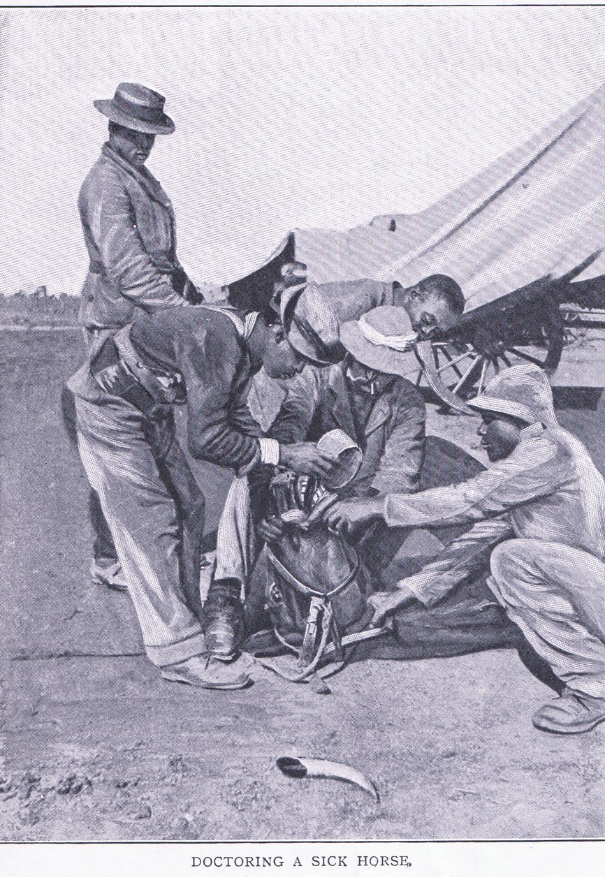 Een ziek paard behandelen, uit After Pretoria: The Guerilla War gepubliceerd door Harmsworth Bros Limited door Unknown photographer
