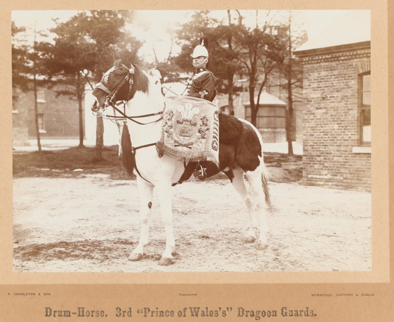 Drum-paard, 3e Prins van Wales
