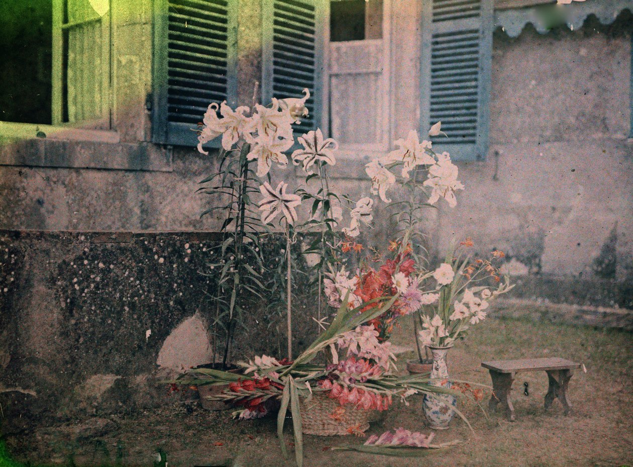 Geschiedenis van de fotografie: Compositie van bloemen door Unknown photographer