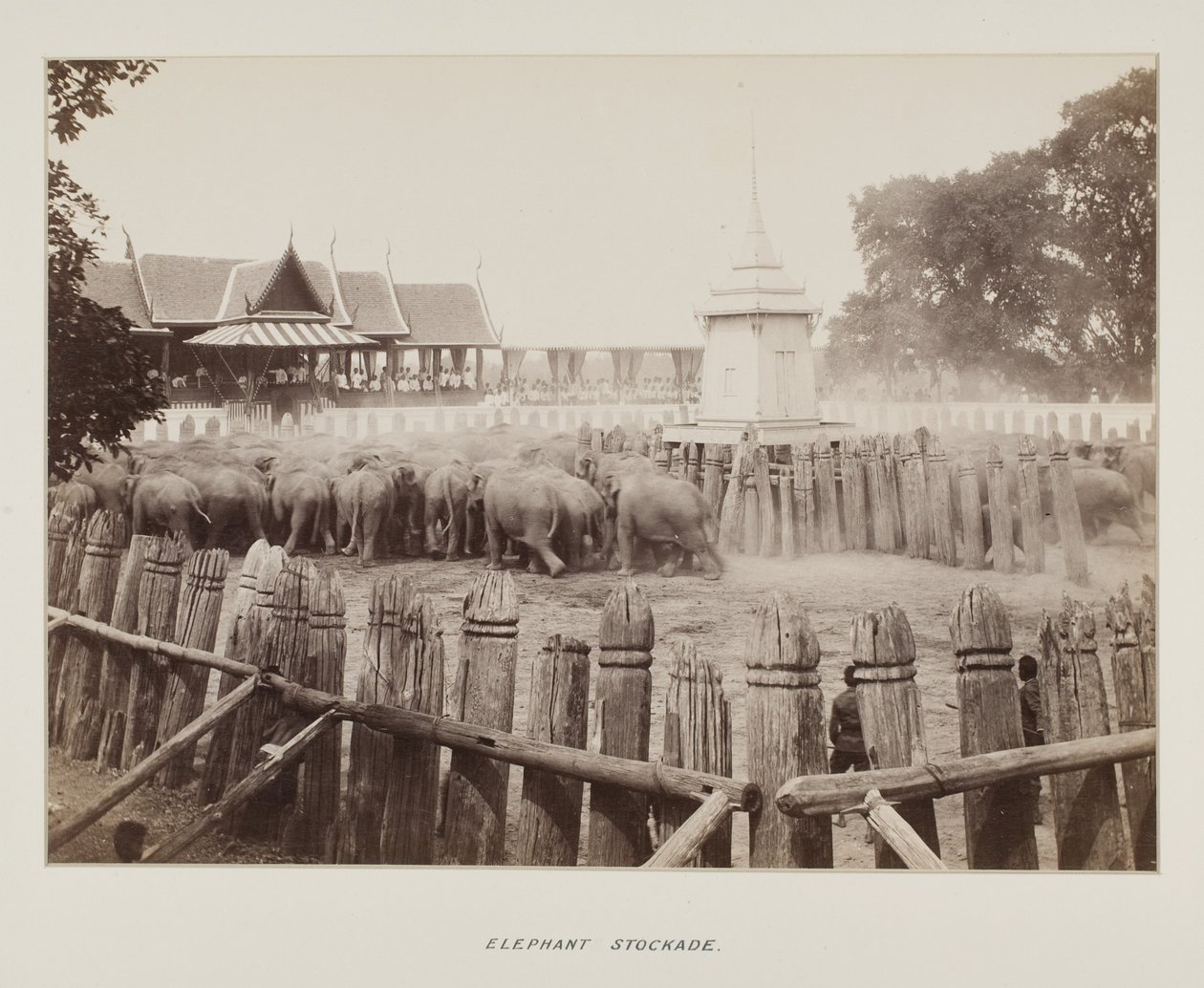 Foto in fotoalbum door Unknown photographer