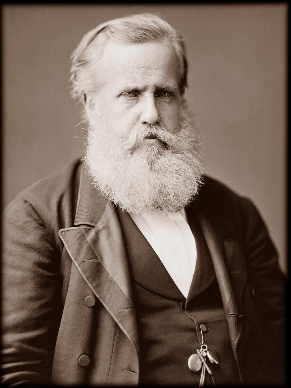 Portret van Dom Pedro II (Peter II) (Dom Pedro de Alcantara) (1825-1891), Keizer van Brazilië door Unknown photographer