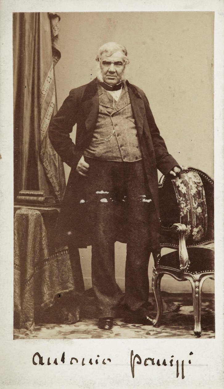 Portret van Senator Antonio Panizzi (1797-1879) Directeur van de Bibliotheek van het British Museum door Unknown photographer