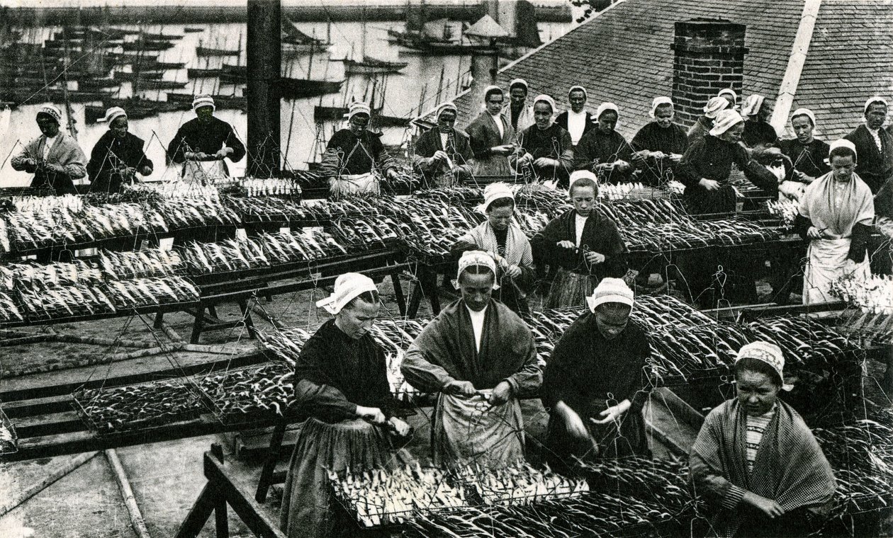 Sardine-industrie, Finistère, Bretagne (z/w foto) door Unknown photographer