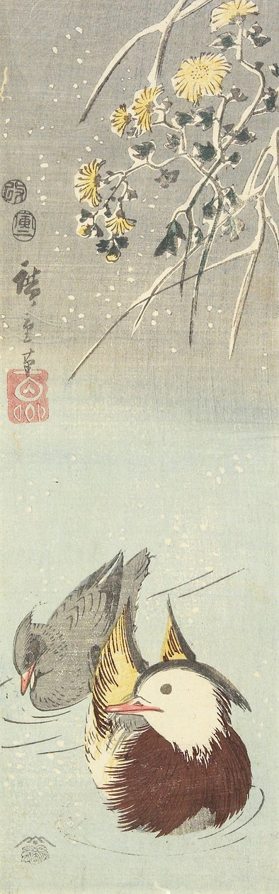 (Chrysant en Mandarijneenden), februari 1854 door Utagawa Hiroshige