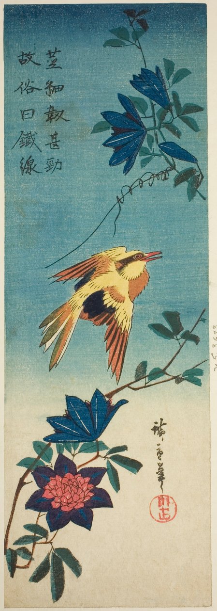 (Facsimile?) Zwartnekoriole en clematis door Utagawa Hiroshige