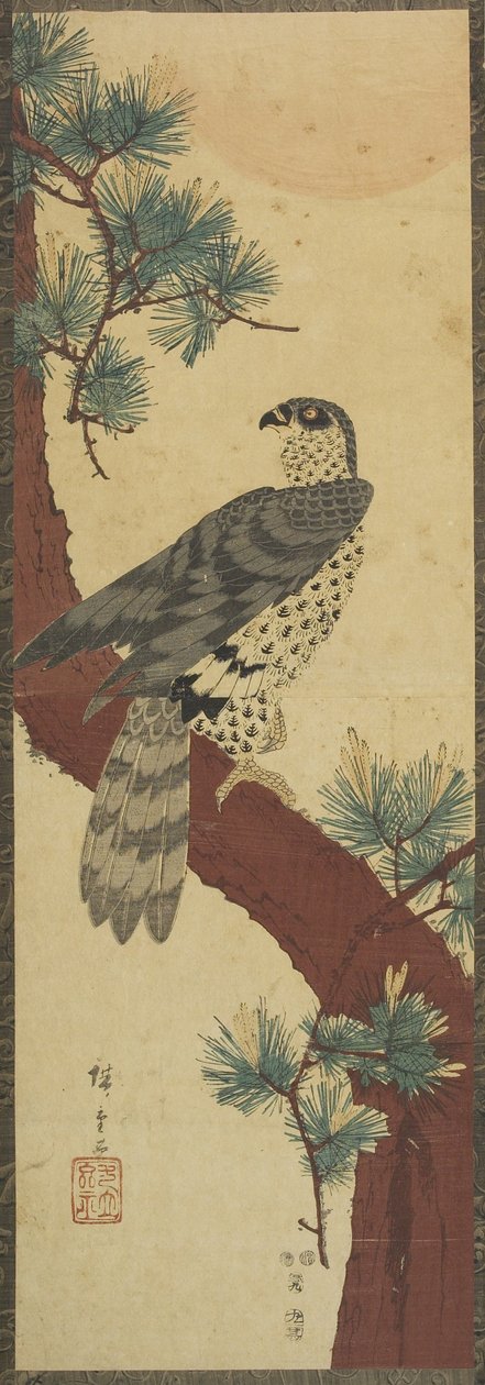 (Havik op dennenboomtak, zomer), september 1853 door Utagawa Hiroshige