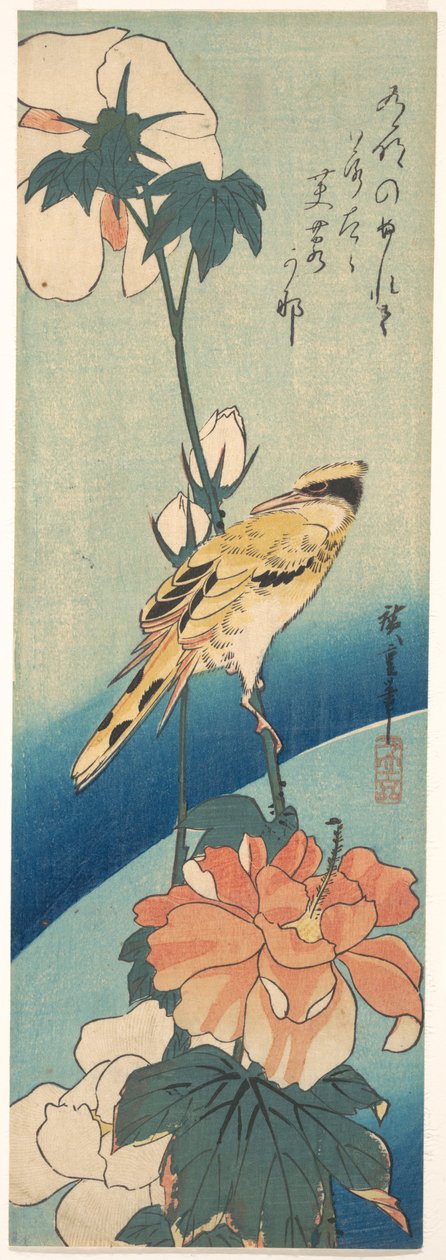 Ein Schwarzrückenpirol auf einem Hibiskusstängel door Utagawa Hiroshige