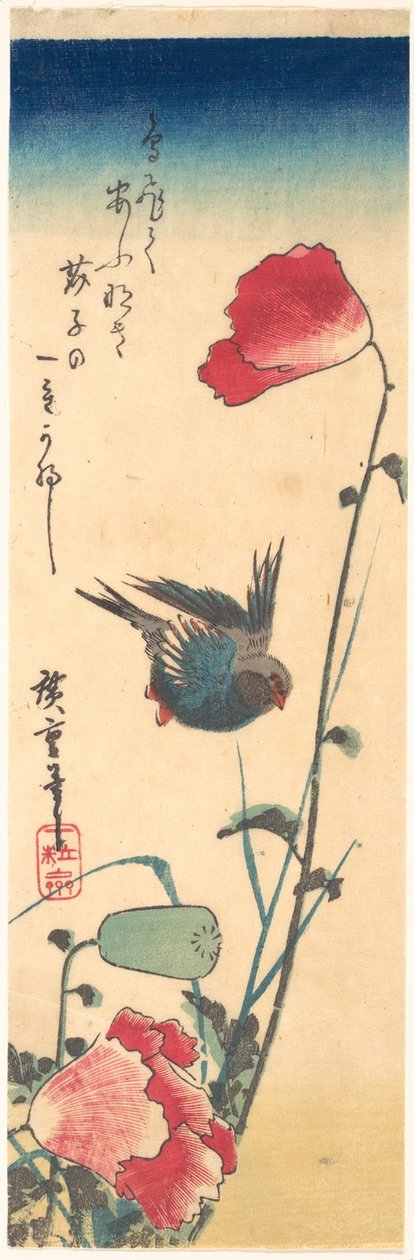 Ein Blaukehlchen und Mohnblumen door Utagawa Hiroshige