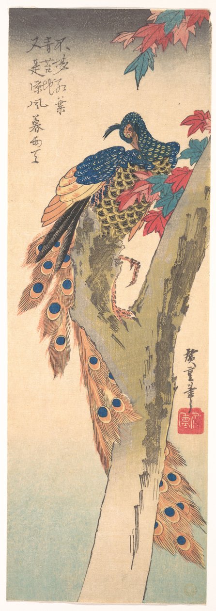 Een pauw zat op een esdoornboom door Utagawa Hiroshige