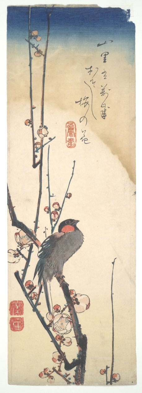 Vogel op een bloeiende pruimenboom door Utagawa Hiroshige