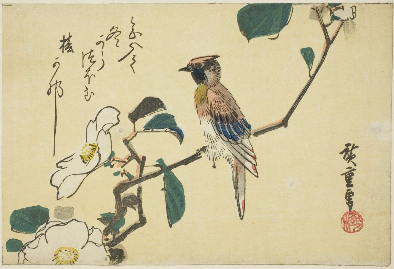 Zwartnekoriolus op cameliatak door Utagawa Hiroshige