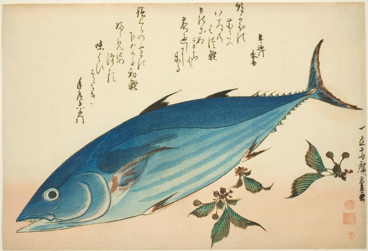 Bonito en saxifrage, uit een ongetitelde serie vissen door Utagawa Hiroshige