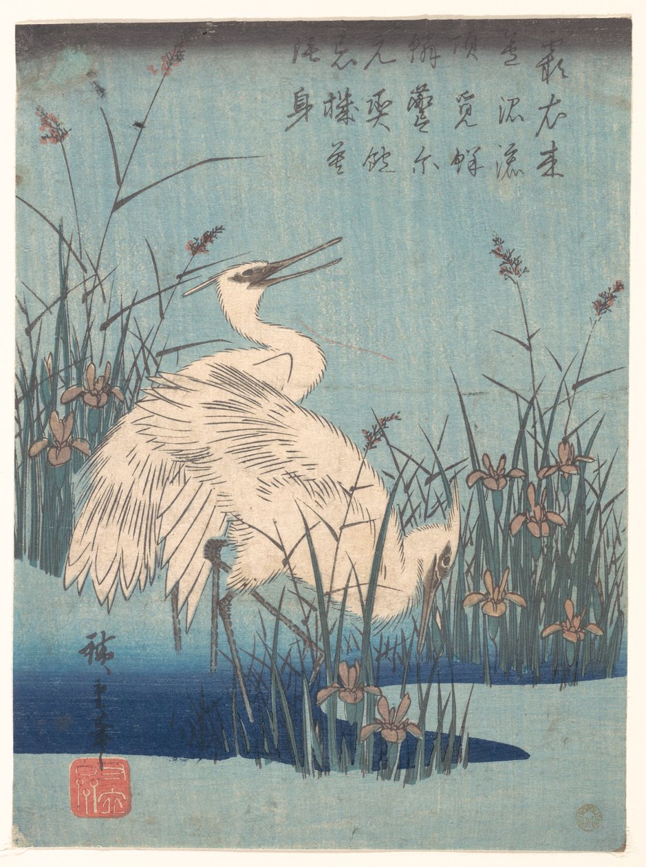 Zilverreiger tussen irissen en grassen door Utagawa Hiroshige