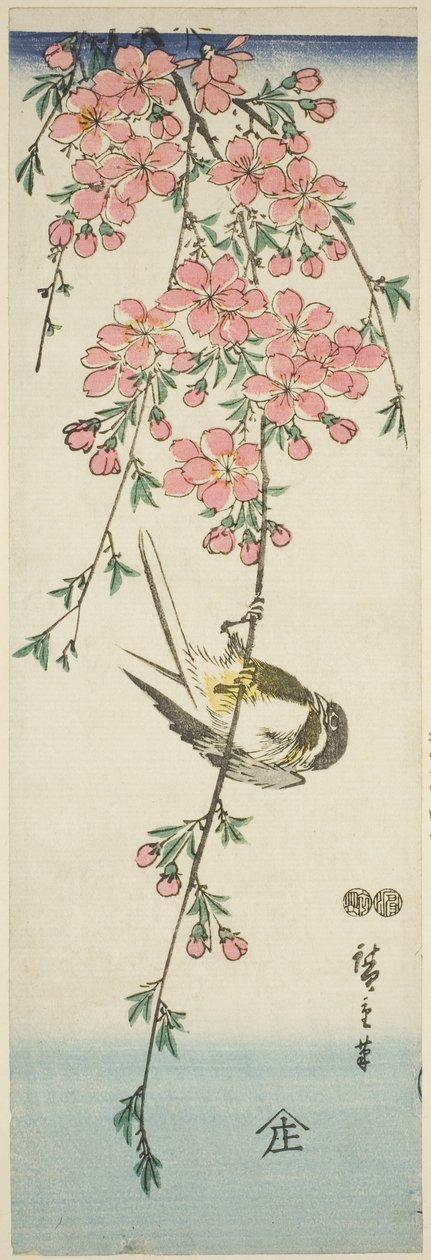Koolmees en Kersenbloesems door Utagawa Hiroshige