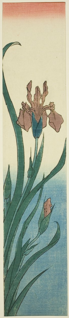 Iris door Utagawa Hiroshige