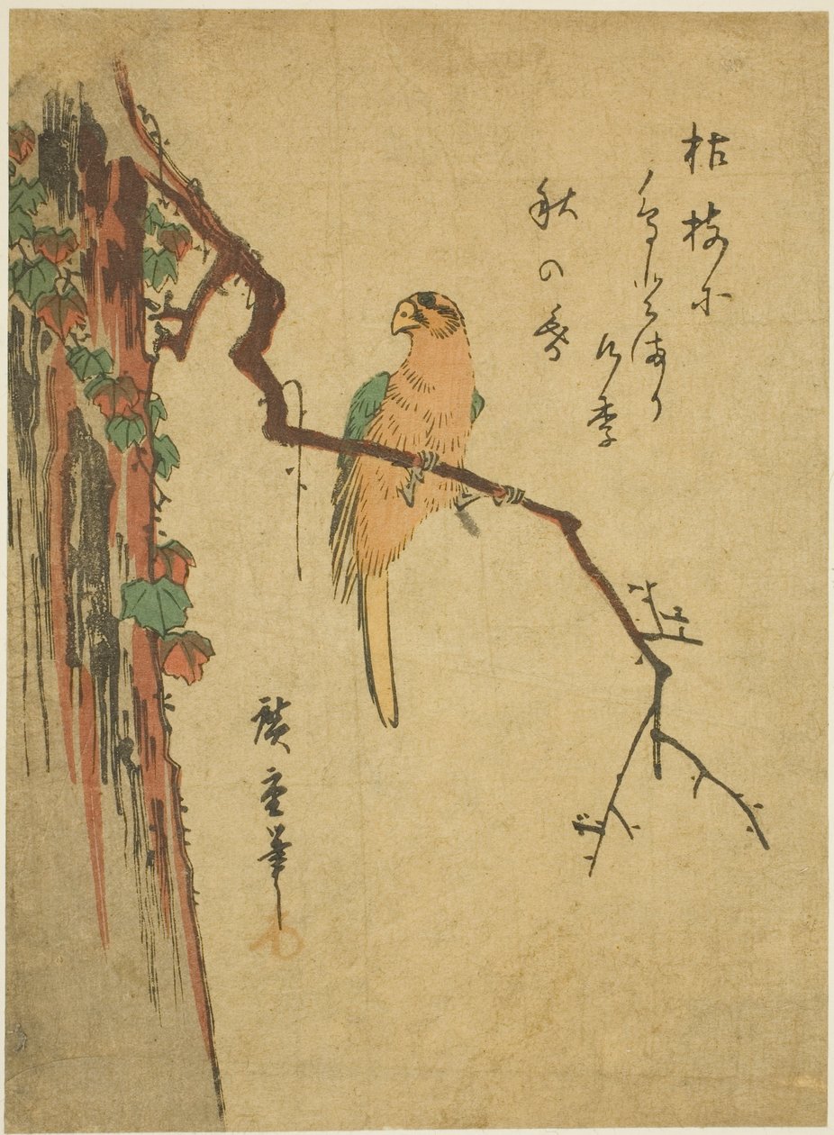 Ara op met klimop bedekte boom door Utagawa Hiroshige