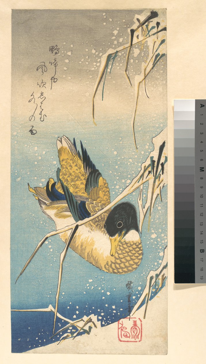 Stockente und schneebedeckte Schilfrohre door Utagawa Hiroshige