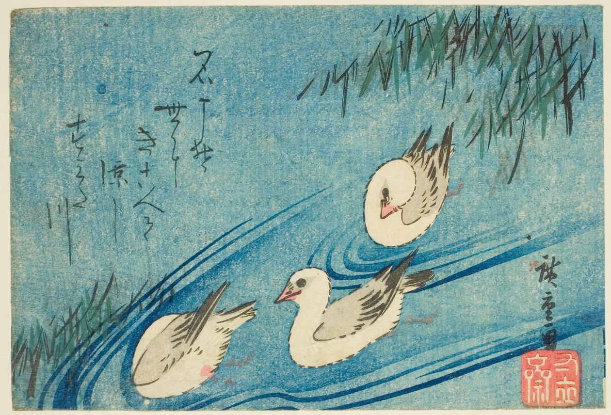 Scholeksters door Utagawa Hiroshige
