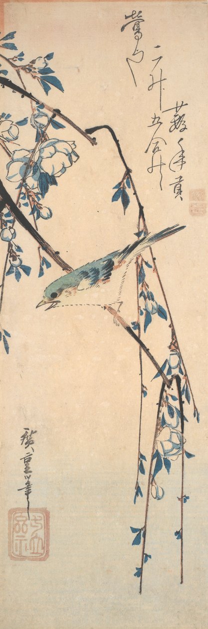 Roodflankblauwstaart op een kersen tak door Utagawa Hiroshige
