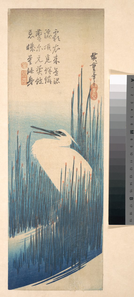 Weißer Reiher zwischen Schilf door Utagawa Hiroshige