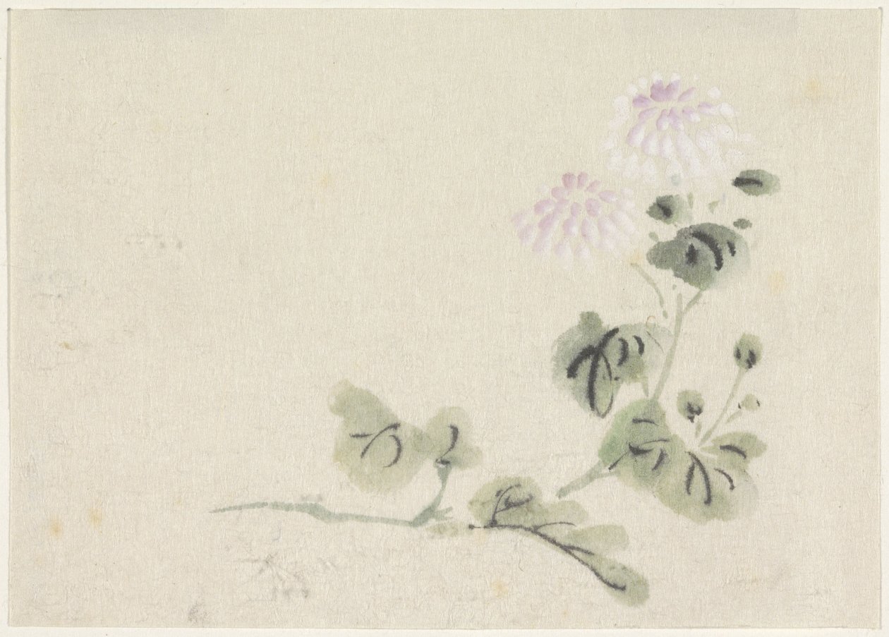 Paars-witte chrysanten door Utagawa Kuniyoshi