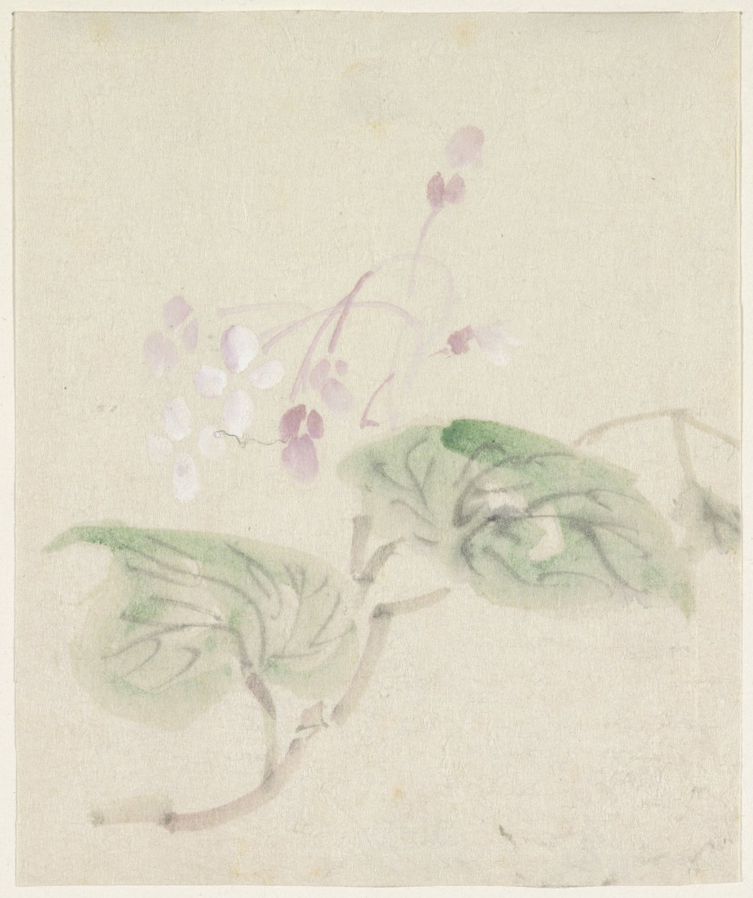 Roze blauweregen door Utagawa Kuniyoshi