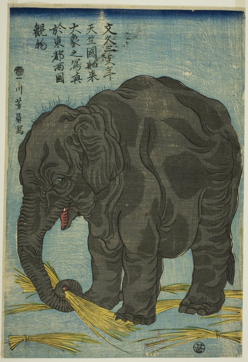 Afbeelding van grote olifant uit India, een attractie in Ryogoku in de oostelijke hoofdstad door Utagawa Yoshikazu